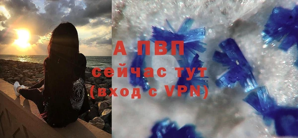 шишки Козельск