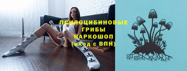 бошки Кодинск