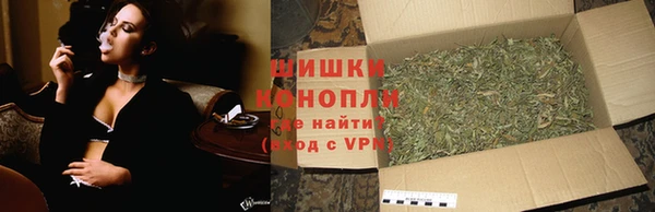 шишки Козельск