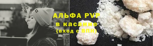 шишки Козельск
