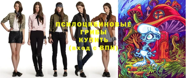 шишки Козельск