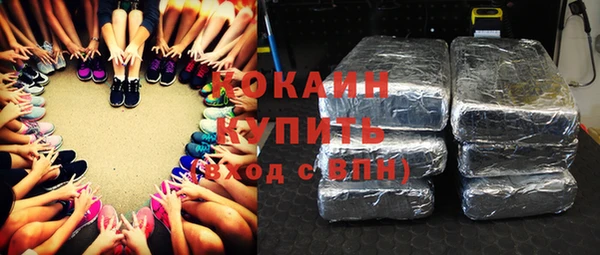 шишки Козельск