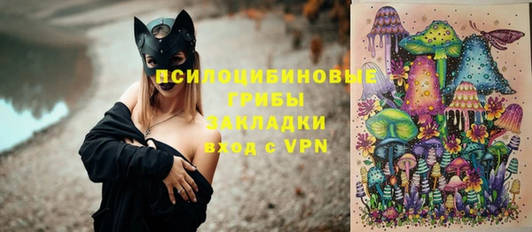 бошки Кодинск