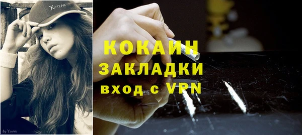 шишки Козельск